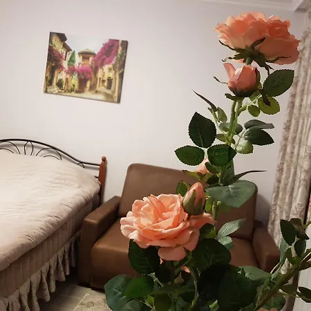 Luxury Double Bed Apartment-studio In 